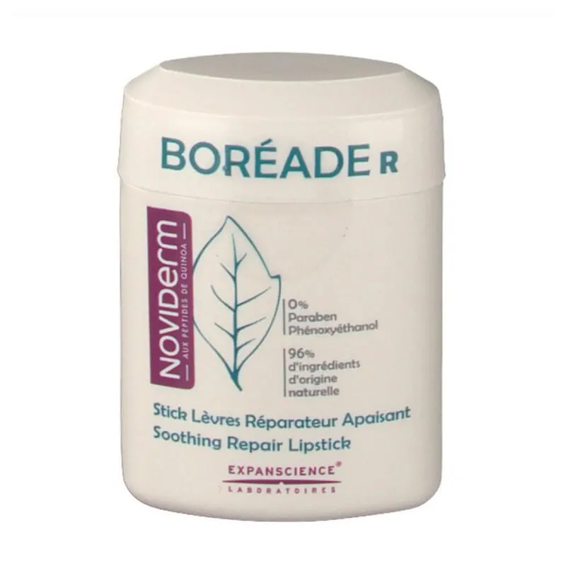 Boréade R Stick Reparador 9,2g