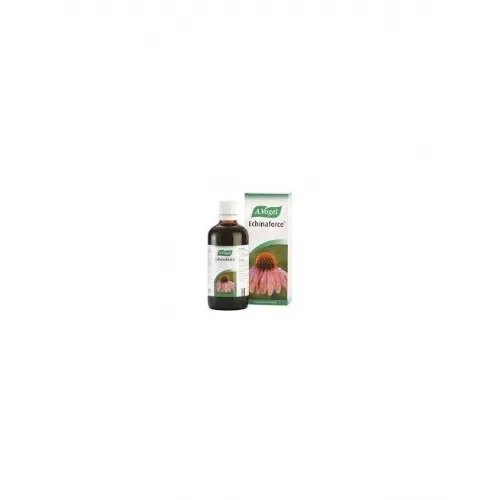 Echinaforce gotas - a vogel (1 envase 100 ml)