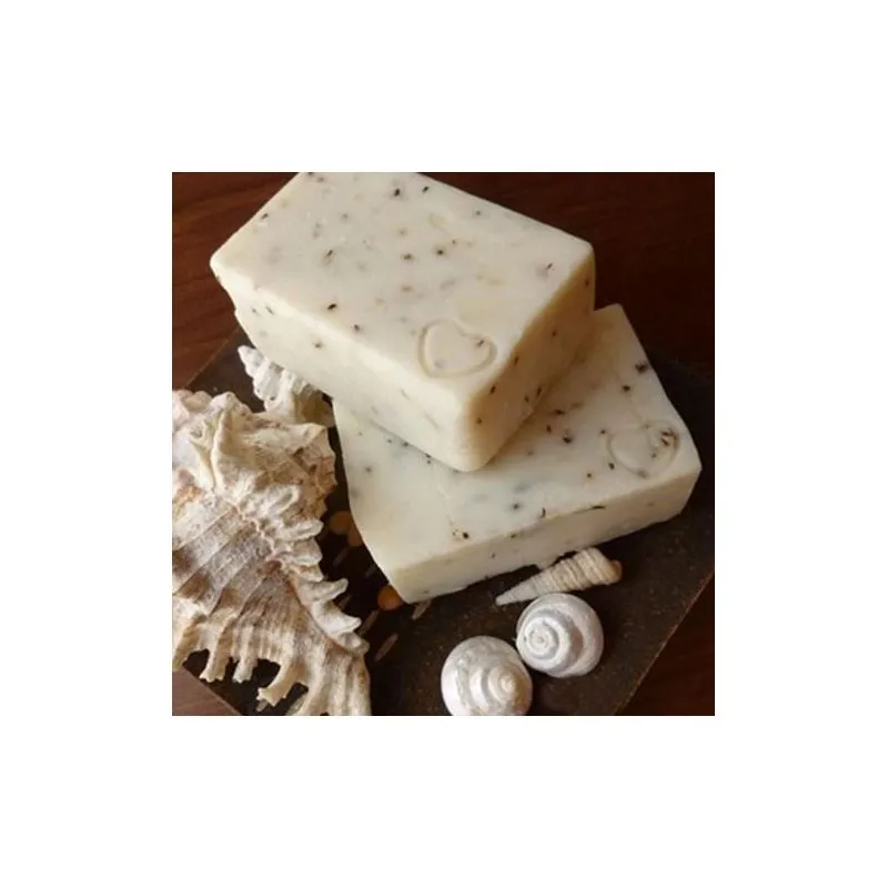 Alonso de la Torre Jabón Romero y Limón