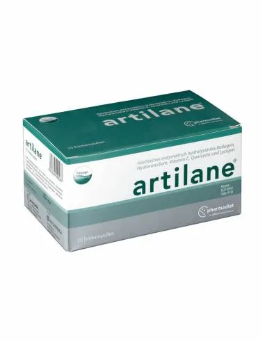 ARTILANE 15 AMP