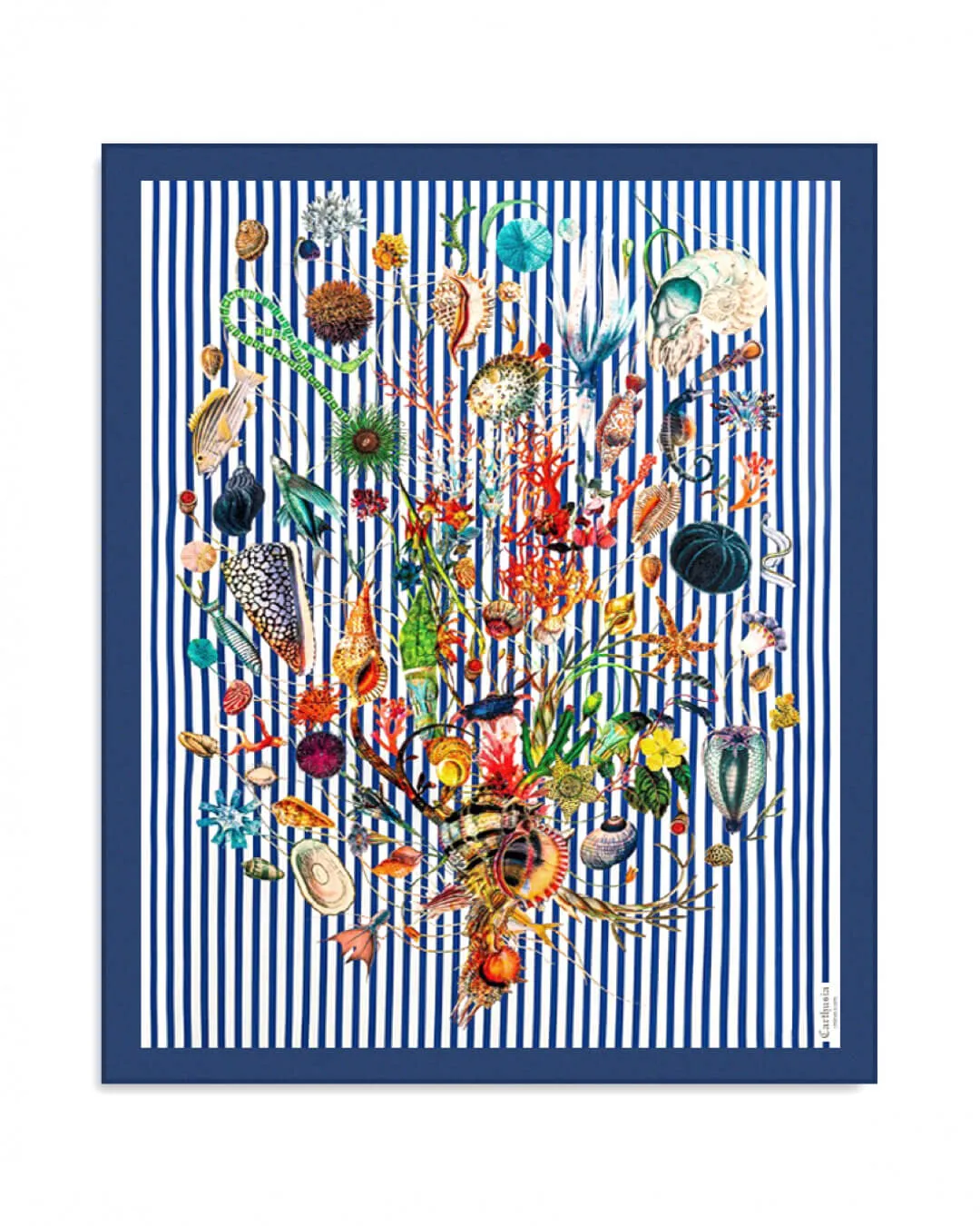 Carthusia A'mmare Pareo Cotton Striped Bottom Blue Edge