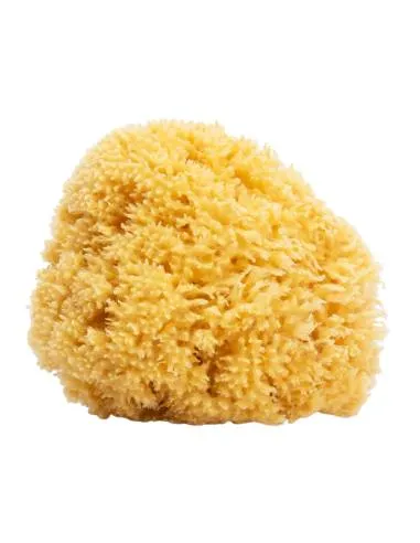 SUAVINEX ESPONJA GRANDE  NATURAL