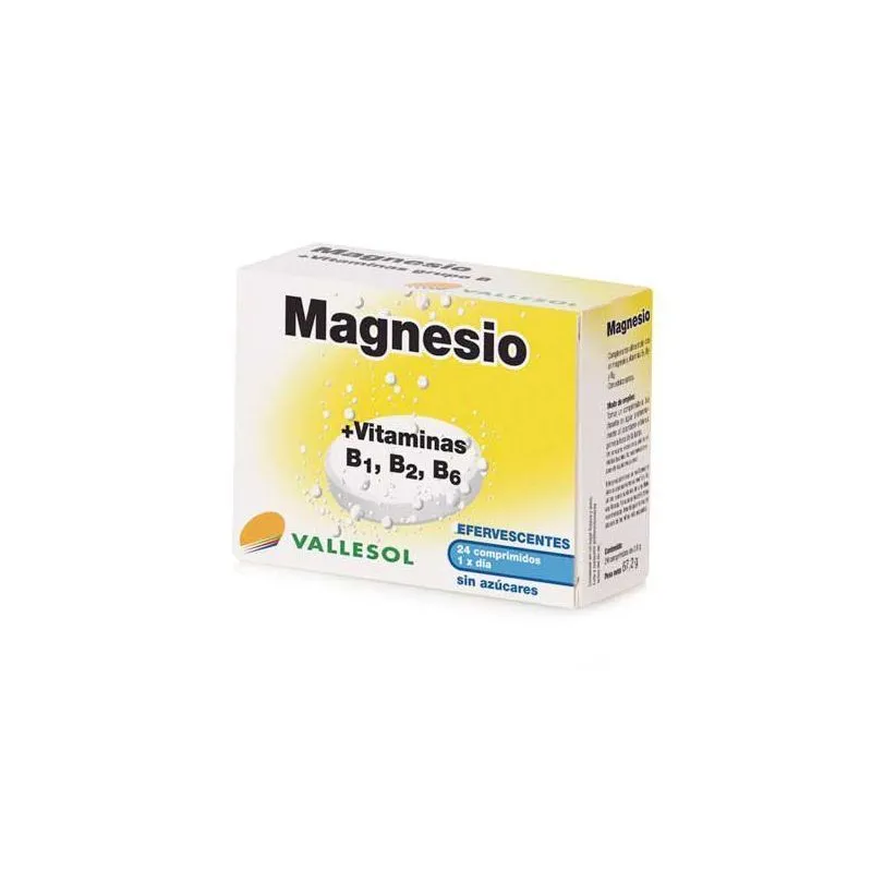 Vallesol Magnesio y Vitaminas 24comp